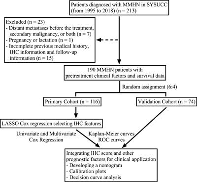 Prognostic Value of an Immunohistochemical Signature in Patients With Head and Neck Mucosal Melanoma